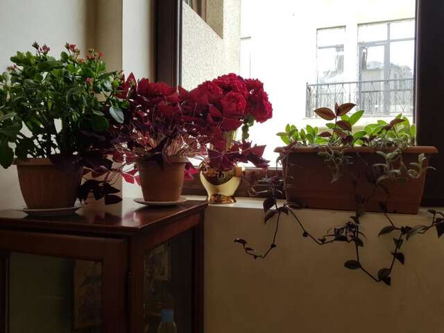 Гостевой дом Guesthouse in Tbilisi Тбилиси-14